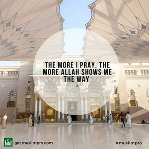 Meet your Posher, Darrell